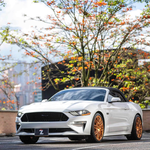 Ford Mustang 2019 5.0 Mustang gt