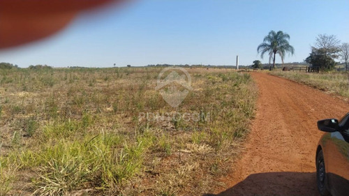 Imagem 6 de 6 de Excelente Fazenda Próximo A Botucatu - 3841150v