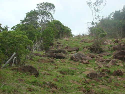 Imagem 14 de 14 de Terreno Rural De 17 Mil Im² - Tapeva, 400 Metros Da Sc 437