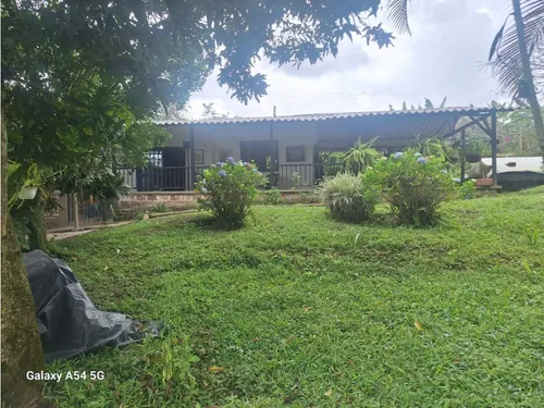 Venta Finca Circasia Quindio. Colombia Cod: 8481169
