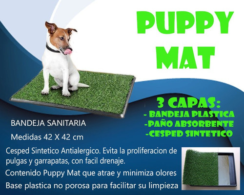 Bandeja Sanitaria Baño Mascotas Cesped Perro 55 X 28