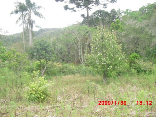 Imagem 9 de 12 de Terreno Com 2.282,40m2 Com Rio Nos Fundos