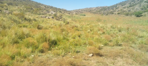 Campo San Luis