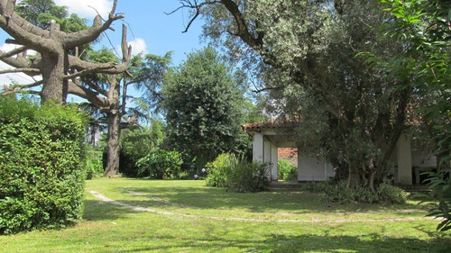 Lote En Venta