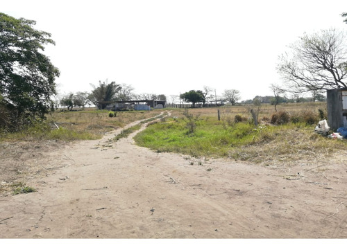 Hectáreas En Venta Veracruz Localidad El Pando, Veracruz.