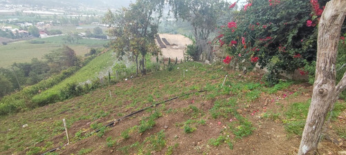 Solar Constanza Con Vista Espectacular 472m2, Luz ,agua, Buen Acceso