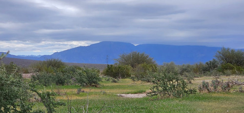 Venta Campo De 7.100 Has En Talacasto, Ullum