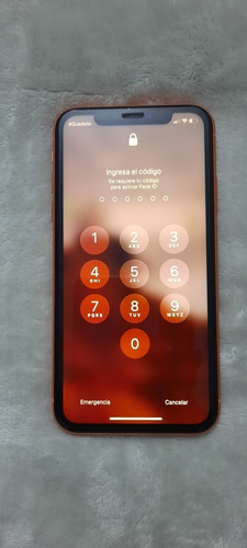 Celular iPhone XR 64 Gb Estado 10/10