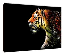 Comprar Cuadro Tigres Varios Modelos 50x70 (22)