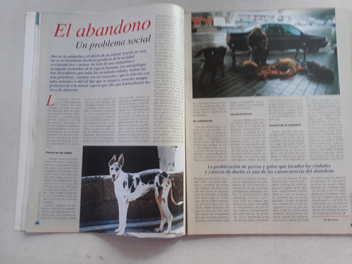 Revista Perros Y Compañia N° 24 Año 1996 Pit Bull Rottweiler (Usado)