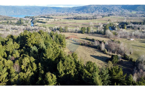 Field In Cunco Of 21.27 Ha. Incredible Opportunity