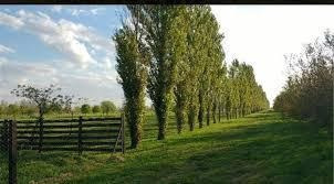 Imagen 20 de 21 de Venta Terreno Haras De Funes Club De Campo