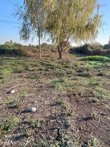 Terreno En Venta En Teno