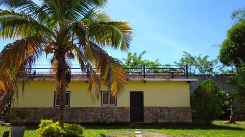 Imagen 5 de 30 de Se Vende Terreno Con Bienechuria Cardonal Att-80 04125067379 04244900499