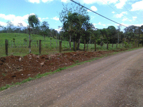 Imagen 11 de 14 de Venta De Hermosa Finca