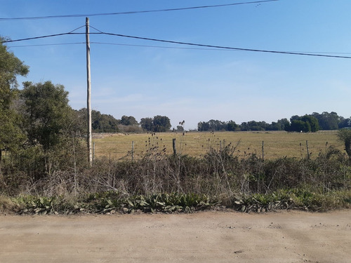 Imagen 4 de 10 de 1.5 Hectareas En Veronica, Punta Indio