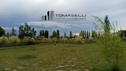 Venta - Chacra Con Casa Y Plantacion- Rama Caida - Mendoza