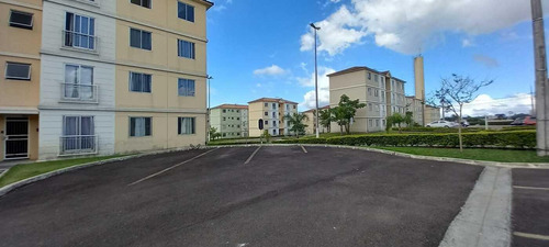Imagem 8 de 15 de Apartamento Para Venda Em São José Dos Pinhais, Afonso Pena, 3 Dormitórios, 1 Banheiro, 1 Vaga - 117_2-1282003