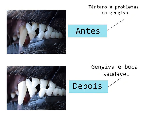 .. Cepillo De Dientes, Cepillo De Dientes, Juguete Grande Y
