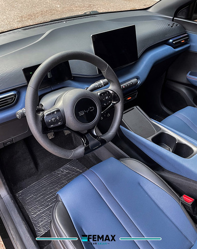 BYD Seagull 0.0 Ev 300