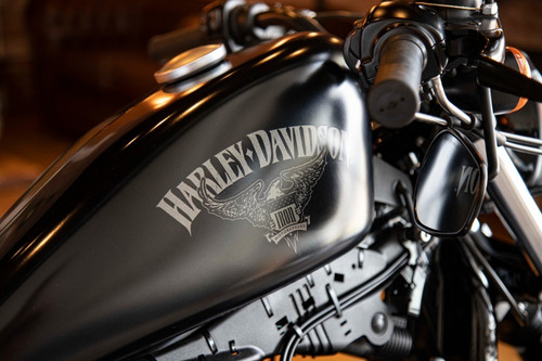 Imagen 2 de 15 de Harley Davidson Iron 883 Roshaus Motorrad Permutas !!!!