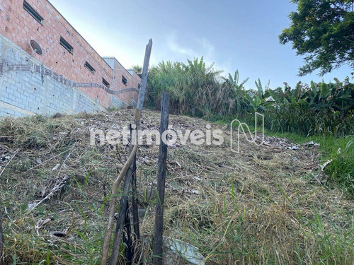Imagem 2 de 15 de Venda Lote-área-terreno Tropical Contagem - 802281