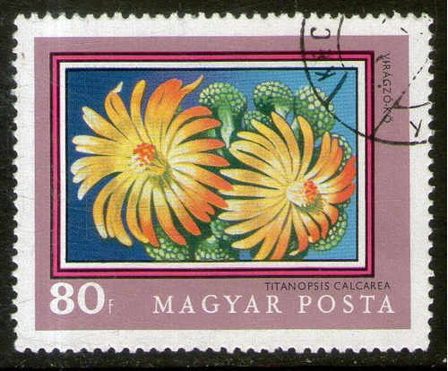Hungría Sello Usado 200° Jardín Botánico = Flores Año 1971 