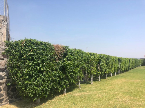 Terreno En Venta En Altos De Oaxtepec