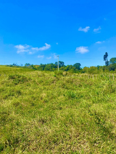 Imagem 5 de 14 de W35 Lote 1000m Na Planta No Interior Leia A Descrição !