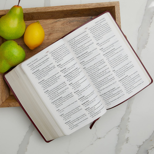 Study Bible Thomas Nelson Kjv En Cuero Regenerado Con Estamp