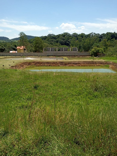 Imagem 2 de 30 de Chácara 10000m2, Rica Em Água Com Tanque Com Peixes, Casa Sede Com 3 Dormitórios, Área Gourmet, Pomar, Horta, Barracão, Poço Caipira - Ch00252 - 70808948