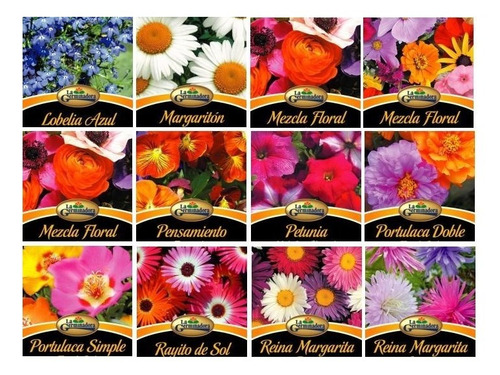 Semillas Florales Combo De 10 Sobres A Elección