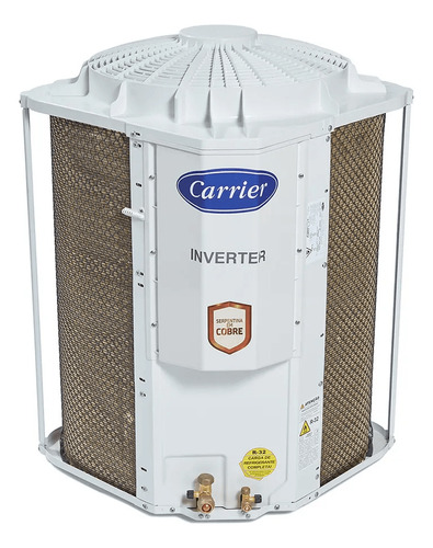 Splitteto Inverter Carrier Connect Xpower 31000btu Frio 220v