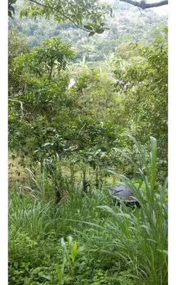 Finca en venta