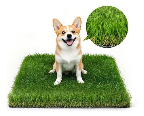 Almohadilla Para Orinar Para Perros, Tapete 3 Cm De Altura