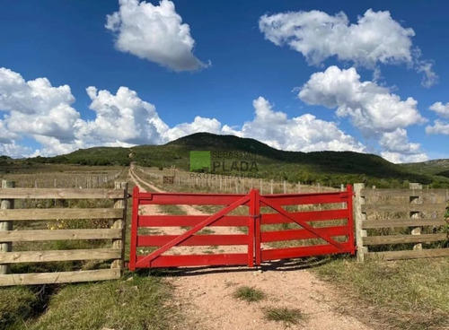 Imagen 4 de 6 de Chacra 5 Hectáreas En Las Cañas.-