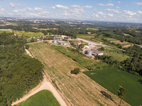 Imagem 5 de 17 de Terreno/ Área 20.000m² A Venda Em Araucária Pr. - Te00002 - 68828711
