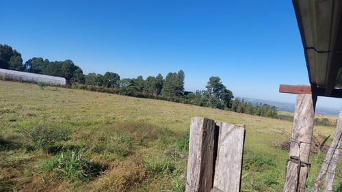 Vendo Fazenda Proximo A Brazlandia