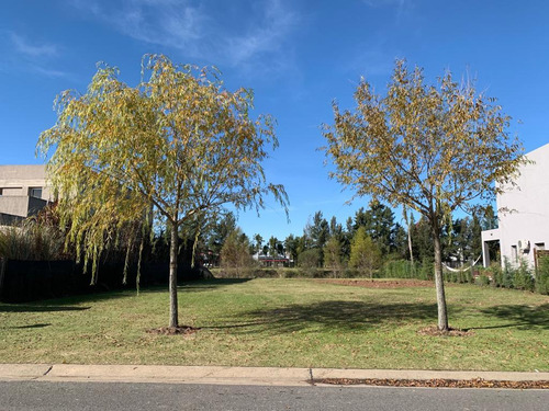 Venta Lote Al Rio Con Amarra Y Muelle En San Benito Villanueva Tigre Amt