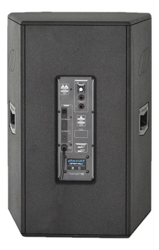 Caixa Oneal Amplificada Opb 1415x Pt - 120wts 127/220V