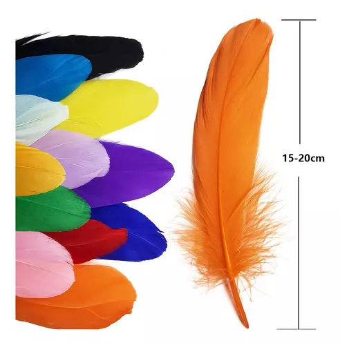 100 piezas de colores para fiestas, manualidades, plumas de boda, plumas de  ganso blanco natural, accesorios para el hogar, 5.1-7.1 in, verde menta