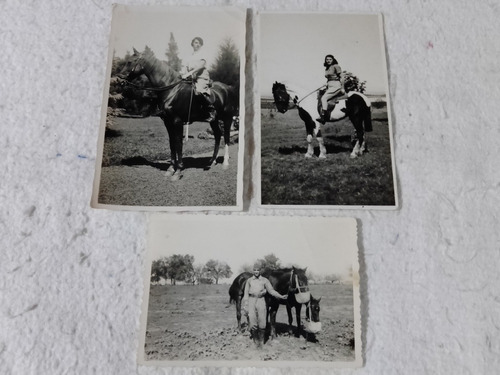 Fotos Antiguas: Caballos, 1 Con Manchas, Caballo Pinto