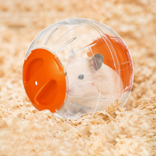 Pelota Popetpop Para Correr Con Hámster, Pelota De Ejercicio