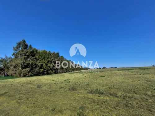 Imagen 8 de 13 de Laguna De Los Cisnes, Barrio Privado. Terrenos En Venta A 15 Min De Punta Del Este. Piriápolis, Maldonado.