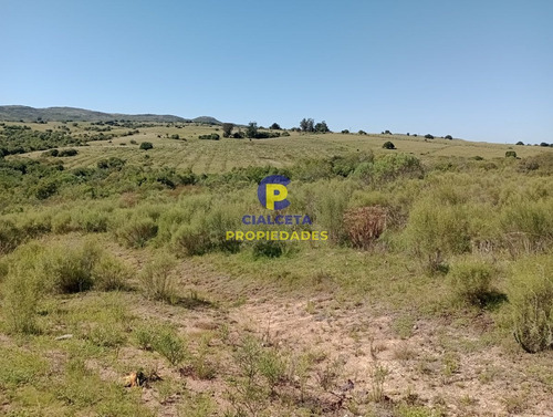 Imagen 4 de 12 de 10 Hectáreas En Las Cañas