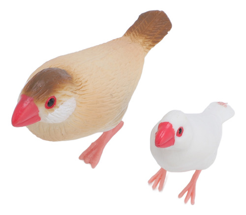 Figuras Educativas De Pvc Sobre El Ciclo De Vida De Aves, 4