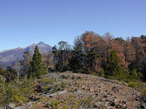 Imagen 2 de 10 de Venta Hermosa Fracción De 25ha En Barrio El Trébol,bariloche