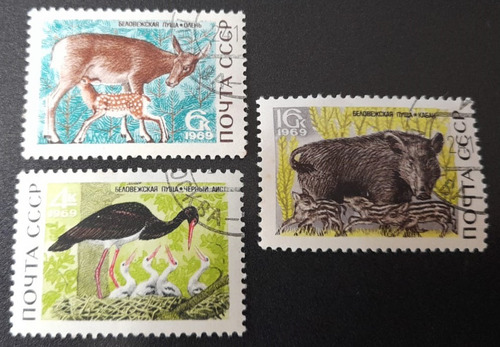 Sello Postal - Rusia - Fauna Parque Nacional Puscha