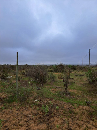 Terreno - A 10 Minutos De Playa Guanaqueros