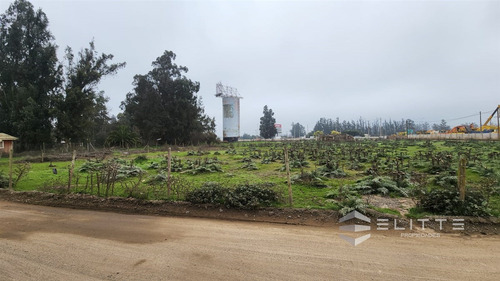 Industrial En Venta En Casablanca